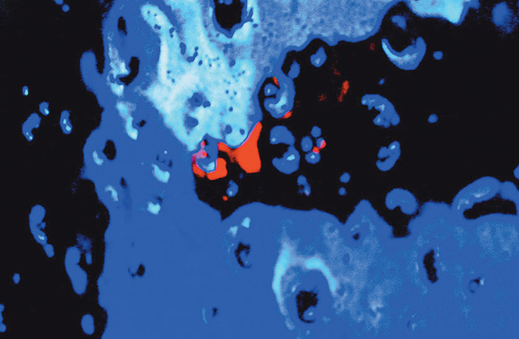 Postcards: Detail from the title sequence of Baby Trawl...