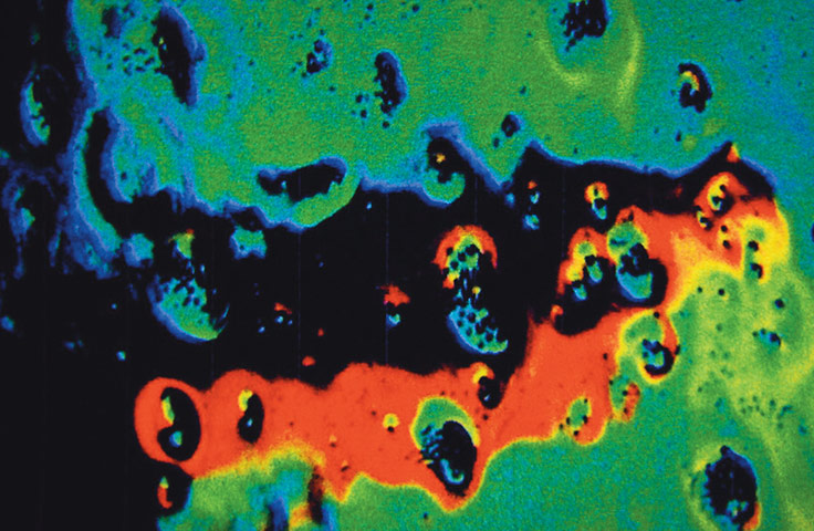 Postcards: Limpopo Daze is an acknowledged Liddist masterpiece...