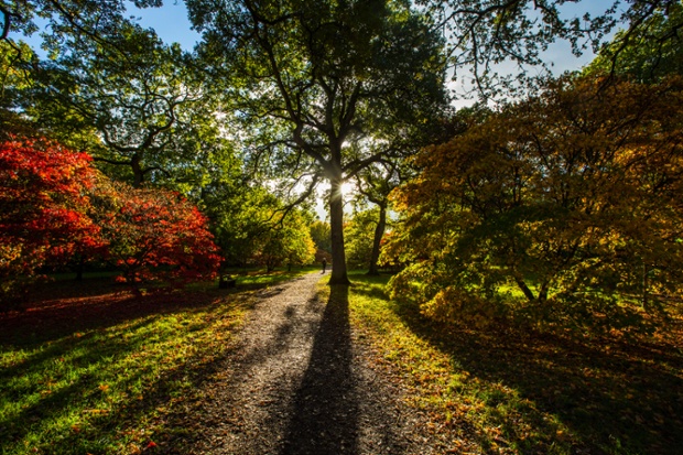 Autumn at Westonbirt Arboretum in the UK makes a stunning photo opportunity.