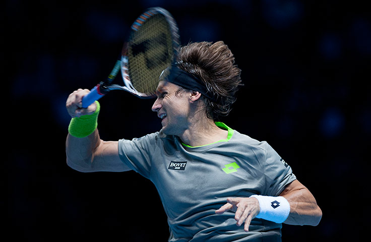 ATP Tennis: David Ferrer