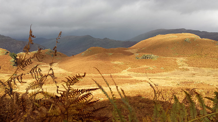 Your Pictures - Glow: landscape lit up by sun