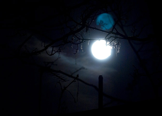 Your Pictures - Glow: moonlight scene 