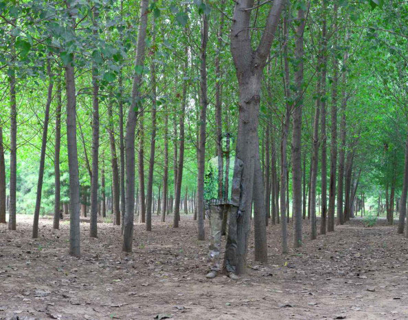 Liu Bolin invisible man: Liu Bolin invisible man