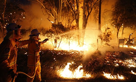 Firefighters attempt to extinguish a bushfire at the Windsor Downs Nature Reserve, near Sydney