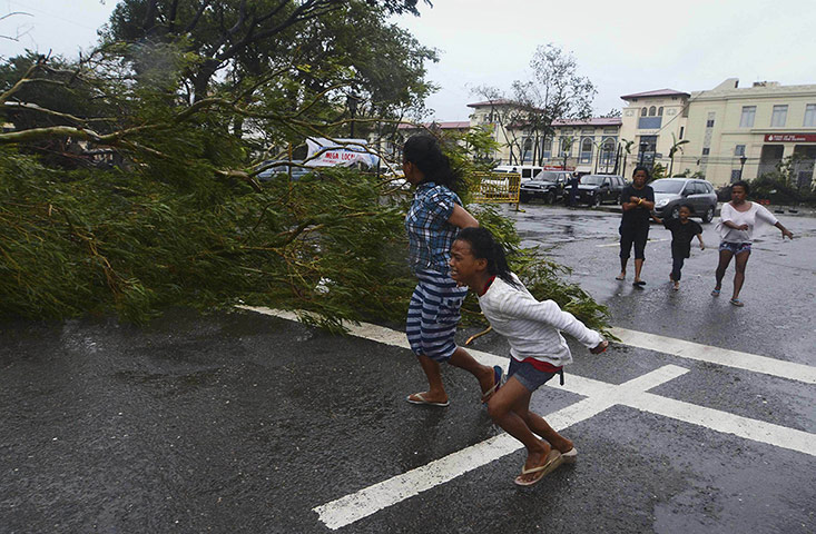 20 Photos: Philippine residents rush past a fallen tree during Typhoon Haiyan