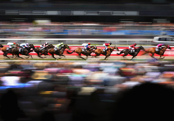 20 Photos: The field along the straight in the Carnival Handicap on Melbourne Cup Day