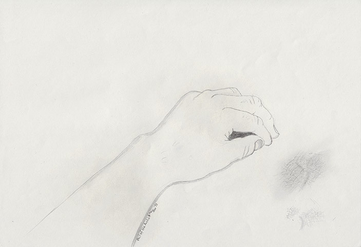 Arctic 30: Philip Ball's drawing of his left hand