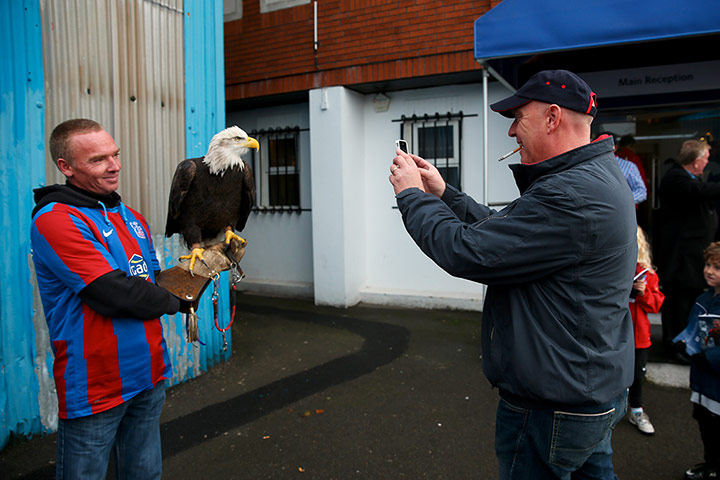 Saturday football roundup: Kayla the eagle 
