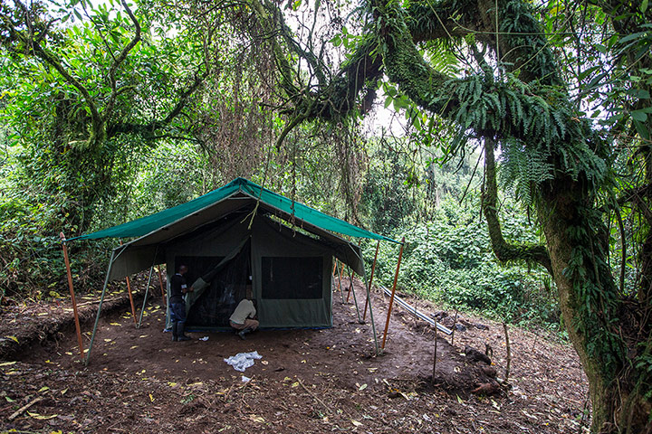 WWF Virunga Campaign: A new camp is being constructed for visitors 
