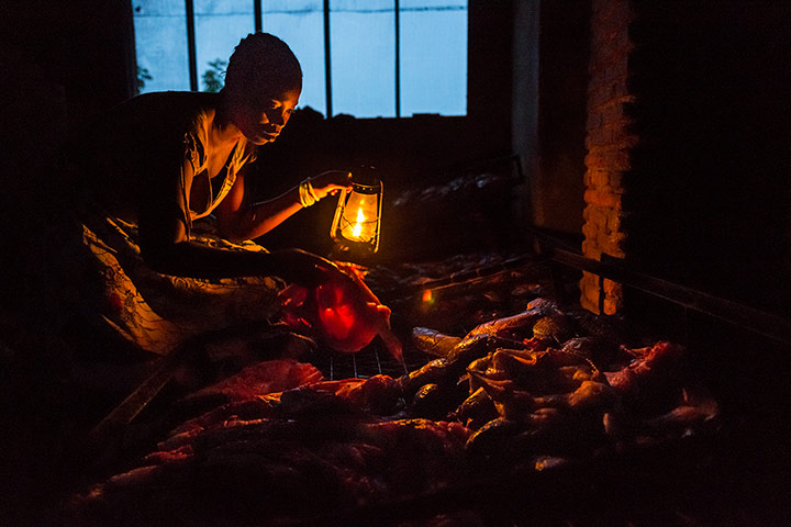 WWF Virunga Campaign: A villager looking at fish in Vitshumbi fishing village 