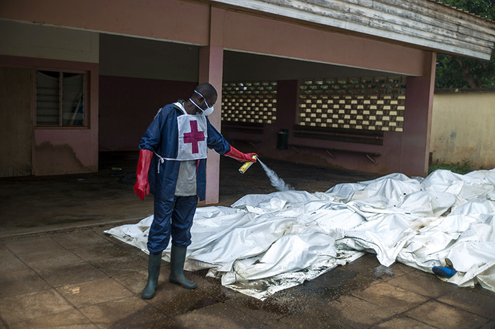 Central African Republic: An employee sprays insect repellent on bodies at the morgue of Bangui's hos