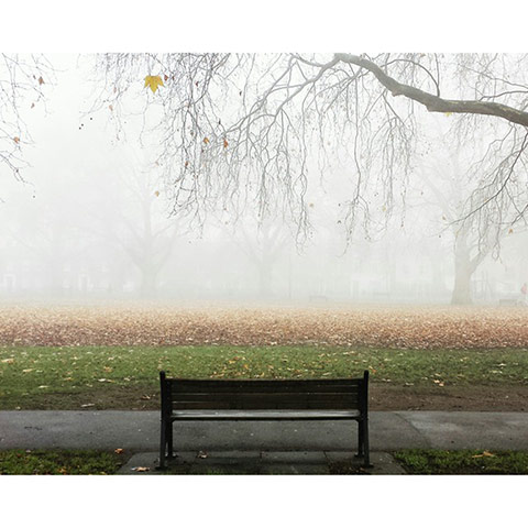 UK Fog - readers' photos: park bench in misty surroundings