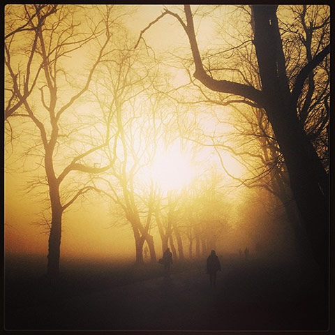 UK Fog - readers' photos: sun rises through fog