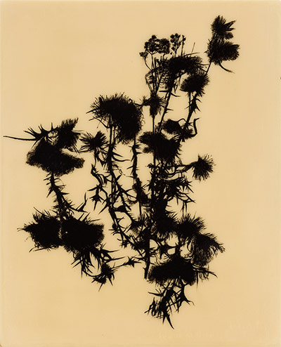 Exhibitionist1412: Edward Chell