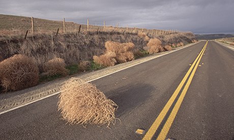 Tumbleweed