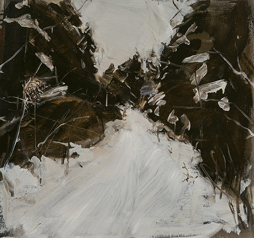 Exhibitionist1412: Mud And Water