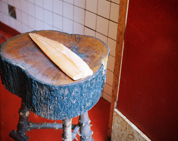 Salmon Smoker Gallery: Side of smoked salmon