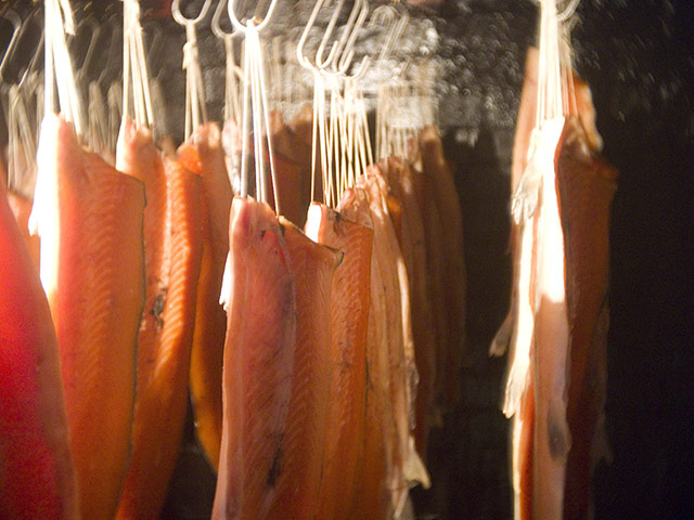 Salmon Smoker Gallery: Salmon hanging to be smoked