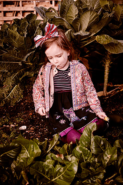 Secret garden: Willow