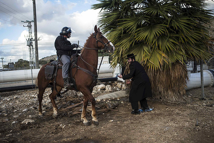 20 Photos: a mounted Israeli police officer disperses a protest by ultra-Orthodox Jews