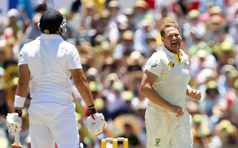 third test day 3: Ryan Harris celebrates