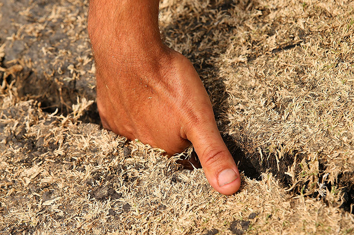 Cracks on the WACA pitch
