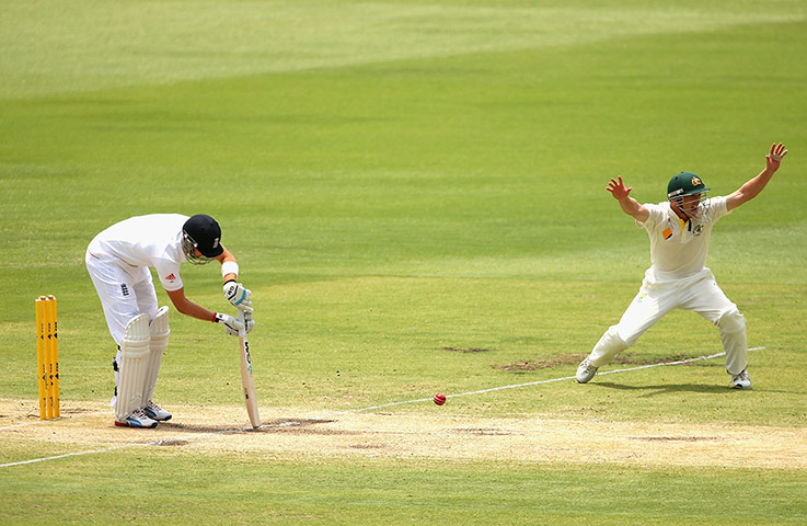 Joe Root LBW call