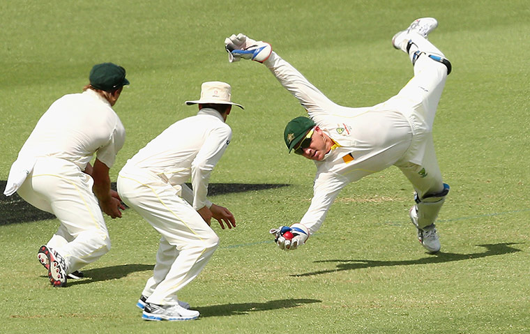 Brad Haddin