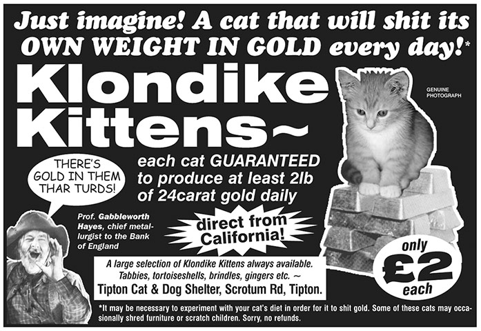vizxmasgifts: Klondike Kittens