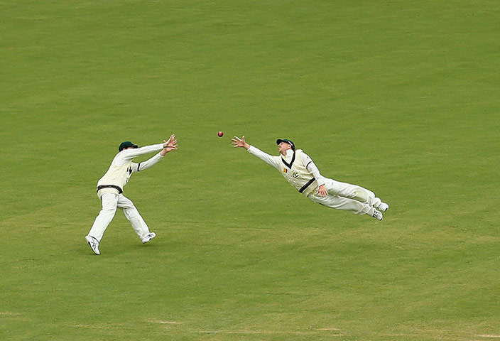 14 days of the ashes: David Warner of Australia dives for a ball