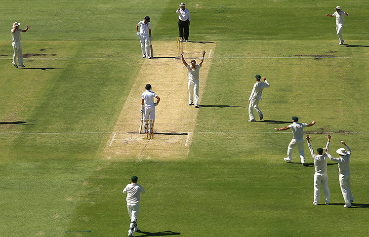 14 days of the ashes: Joe Root is out