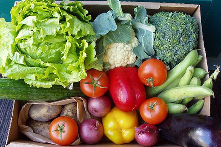 SBSaturday3: wild & free organics