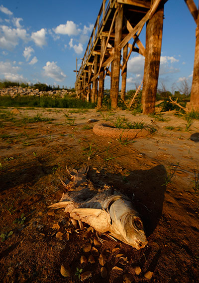 2013 extreme weather: Server drought is causing lower levels in lakes in Texas