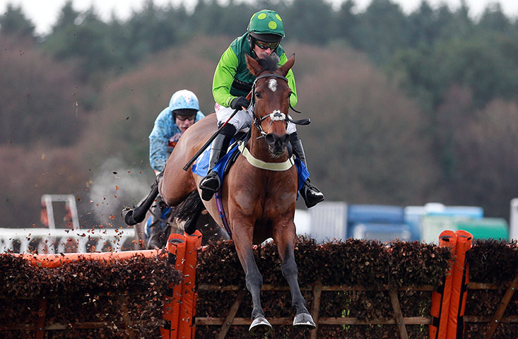 Racing at Exeter2: Blue Buttons ridden by Noel Fehily