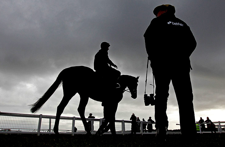 Racing at Exeter2: Big Buck's ridden by Daryl Jacob in the parade ring 