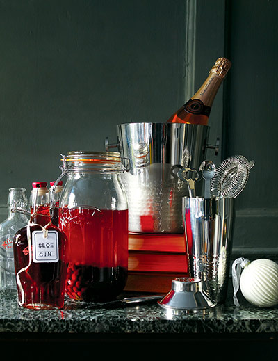 John Lewis Dec gallery: John Lewis: bottle of homemade sloe gin and cocktail utensils