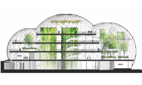 Wild working … Amazon employees will work in a jungle landscape of mature trees and green walls.