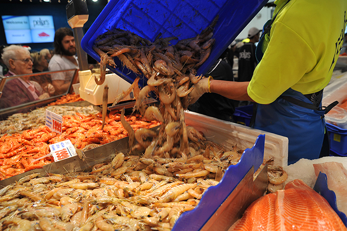 Fish Market: An attendent stocks prawns