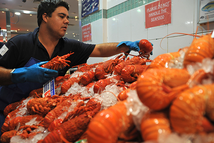 Fish Market: Lobsters being stocked