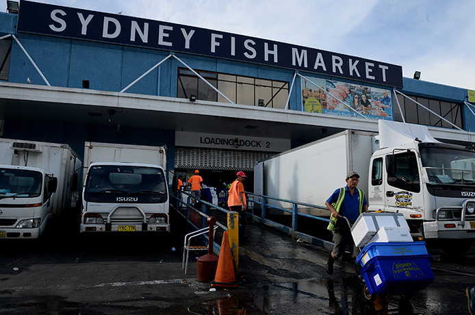 Fish Market: Seafood buyers haul