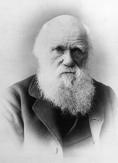 Readers ten best beards: Readers ten best beards Charles Darwin