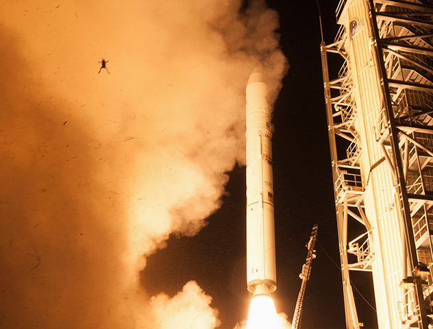 Animals of year: A frog is captured during a lift off of NASA's Lunar Atmosphere and Dust En