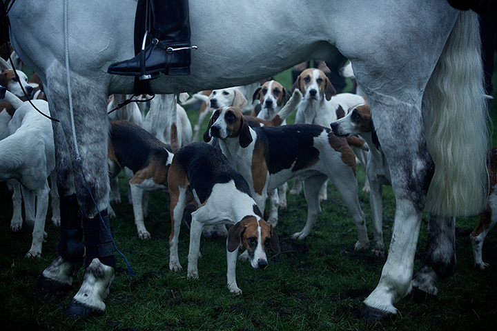 Boxing day hunt: The Pendle Forset and Craven Hunt annual Boxing Day meet at Gargrave, North