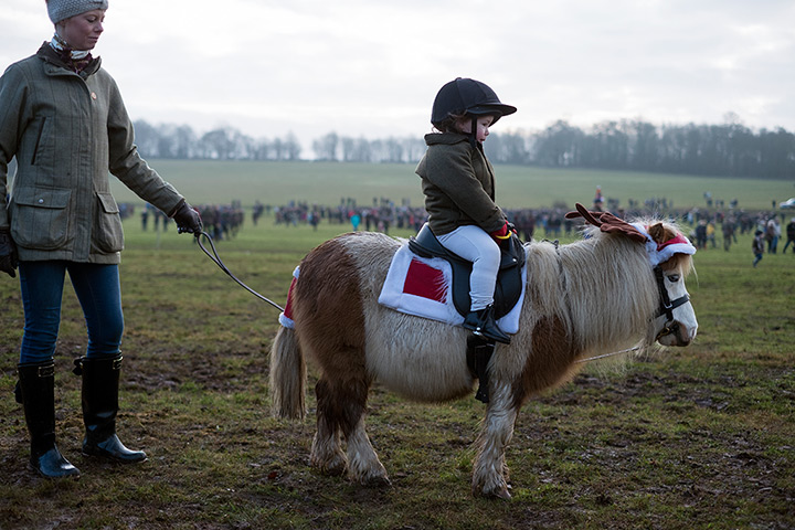 Boxing day hunt: Rebecca Mills with her daughter Ada on 'Bryan' the miniature Shetland pony,