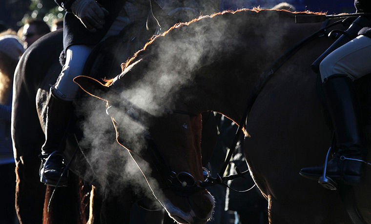 Boxing day hunt: The Cheshire Hunt leaves from The Swan in Tarporley, England's oldest Hunt 