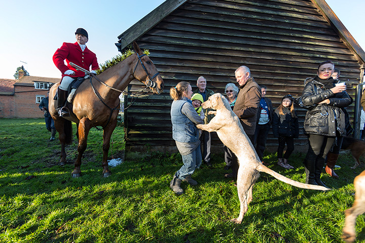 Boxing day hunt: Huntsman Gary Thorpe leads the East Essex Foxhounds Boxing Day Meet.