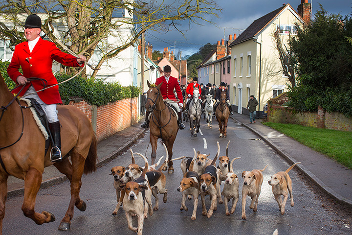 Boxing day hunt: Huntsman Gary Thorpe and First Whip James Tennant lead the East Essex Foxho