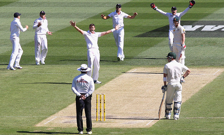 Fourth test day two: England appeal