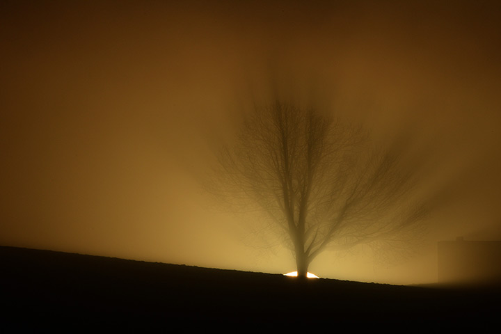 10 photo highlights: The sun rises on a misty morning in Wangen im Allgäu, Germany