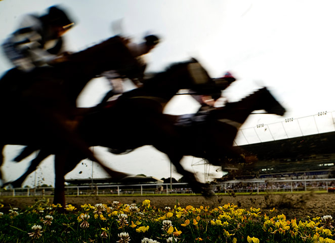 Crowhurst: Kempton Races